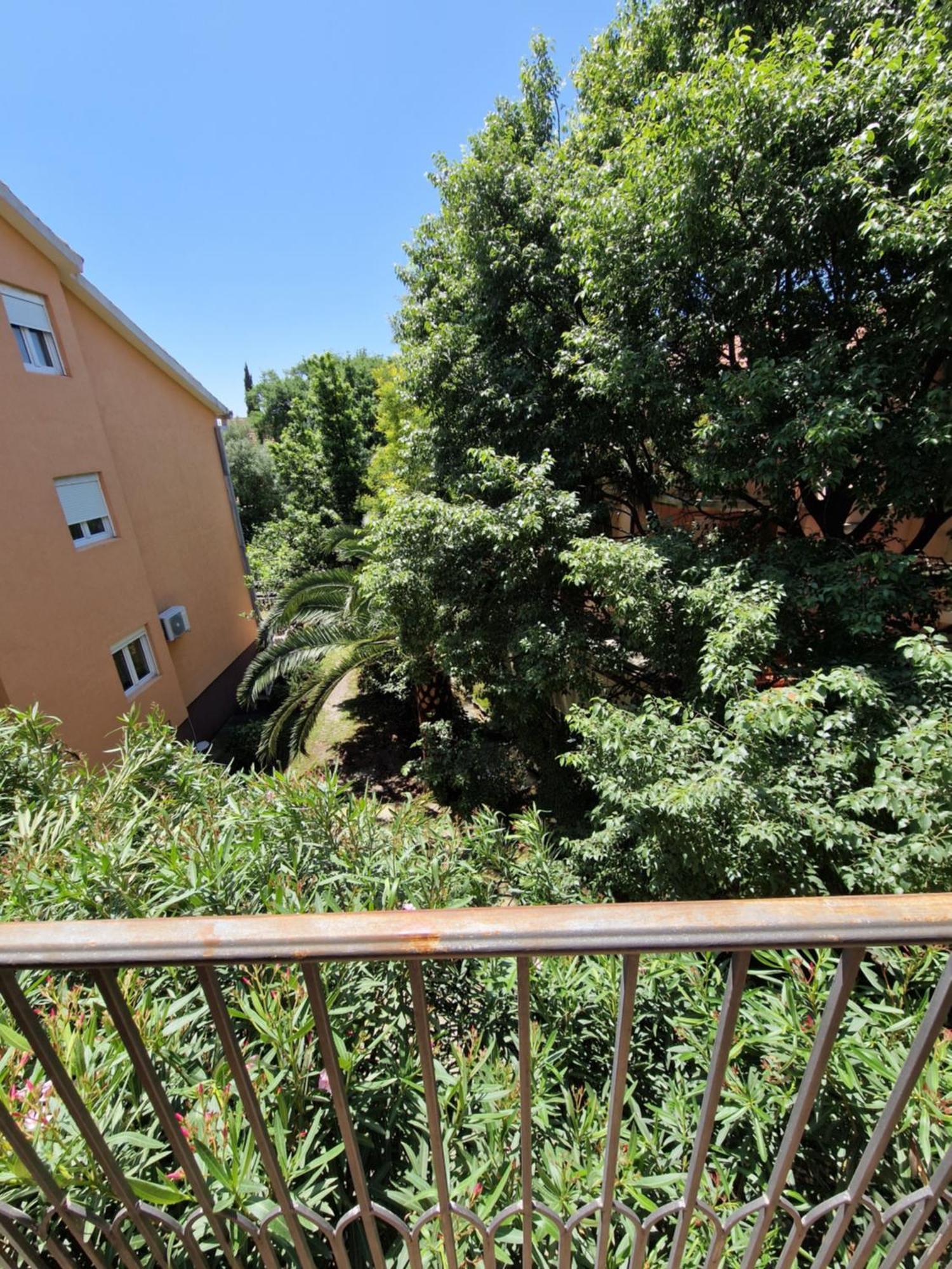 Guest House Damjana Μπούντβα Εξωτερικό φωτογραφία