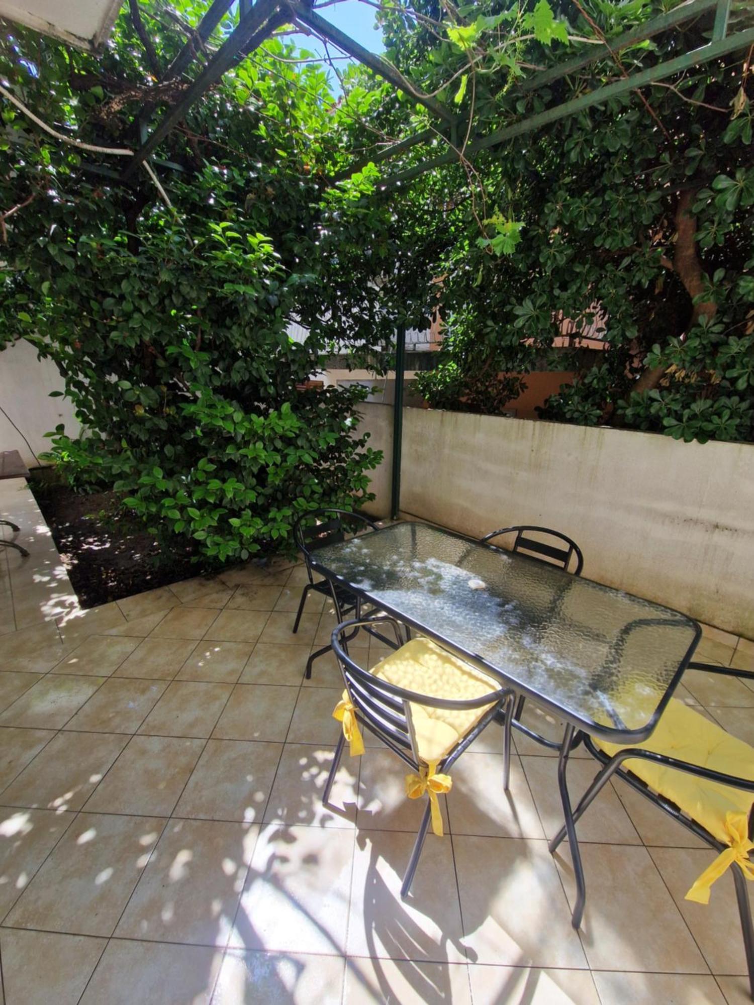 Guest House Damjana Μπούντβα Δωμάτιο φωτογραφία